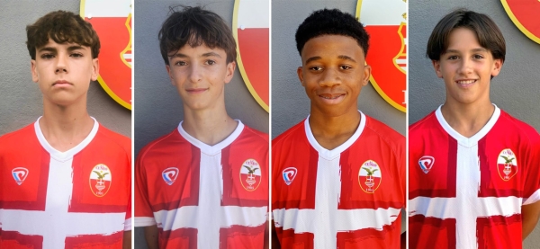 D'Apice (2010), Bruno (2011), Lonang (2012) e Occelli  (2013)