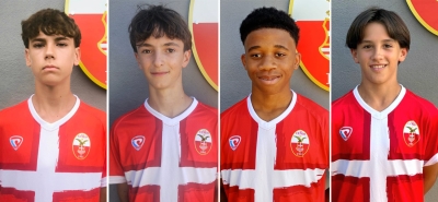 D'Apice (2010), Bruno (2011), Lonang (2012) e Occelli  (2013)