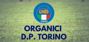 Delegazione di Torino: Pubblicati gli organici della stagione Primaverile. E&#039; sempre la Sisport la società con più gruppi