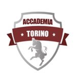 Accademia Torino Calcio logo