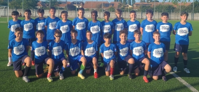 Bruinese 2014