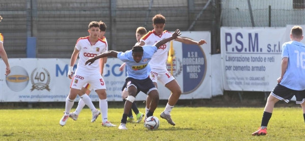 Catanzaro-Shelbourne